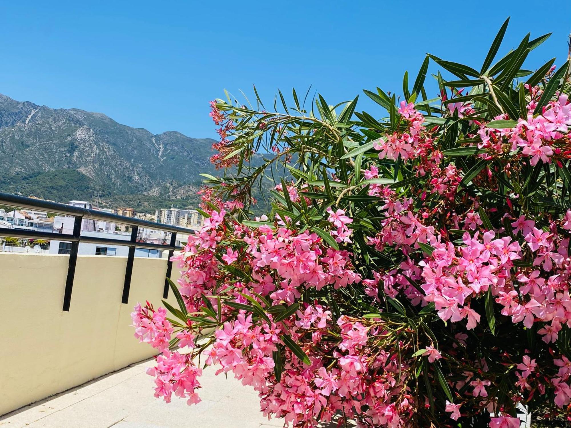 Apartment On The First Line Of The Sea With A View And Free Parking Marbella Exterior foto